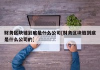 财务区块链到底是什么公司[财务区块链到底是什么公司的]